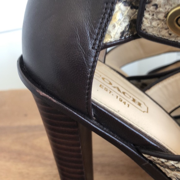 Stunning snakeskin print Tamarah heeled sandal with turn locks. - Picture 4 of 17